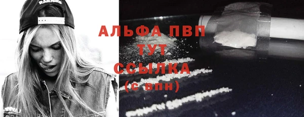 МДПВ Елабуга