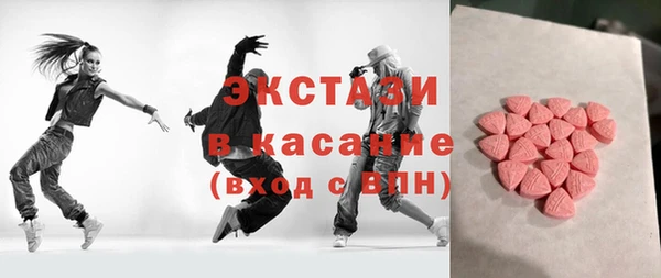 гашик Алексин