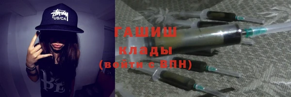 гашик Алексин
