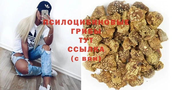 ПСИЛОЦИБИНОВЫЕ ГРИБЫ Алексеевка
