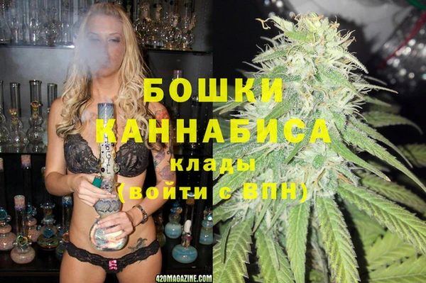 тгк Елизово