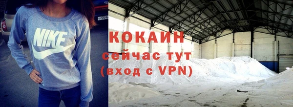 гашик Алексин