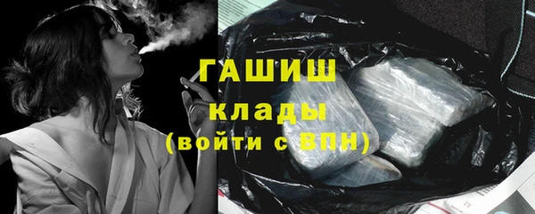 гашик Алексин