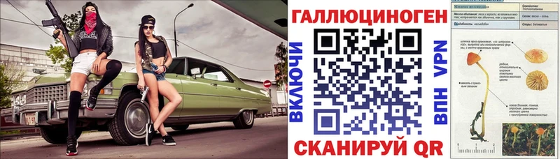 Псилоцибиновые грибы Psilocybe  Тогучин 